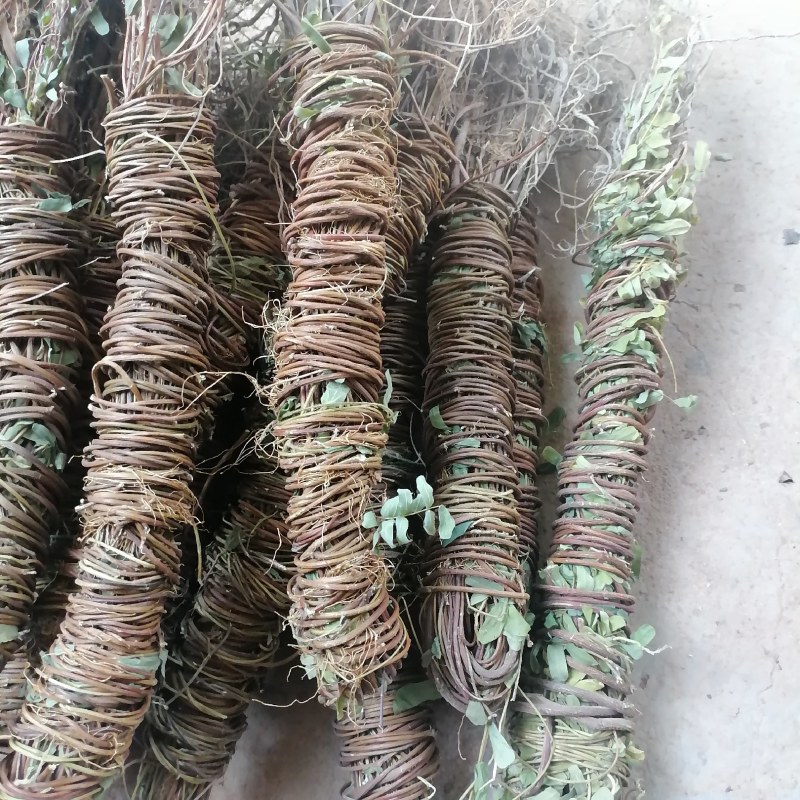 【产地直供】鸡骨草纯无硫鸡骨草现货批发可视频看货