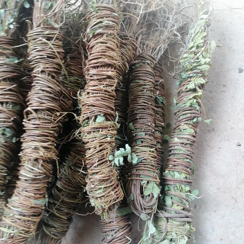 【产地直供】鸡骨草纯无硫鸡骨草现货批发可视频看货