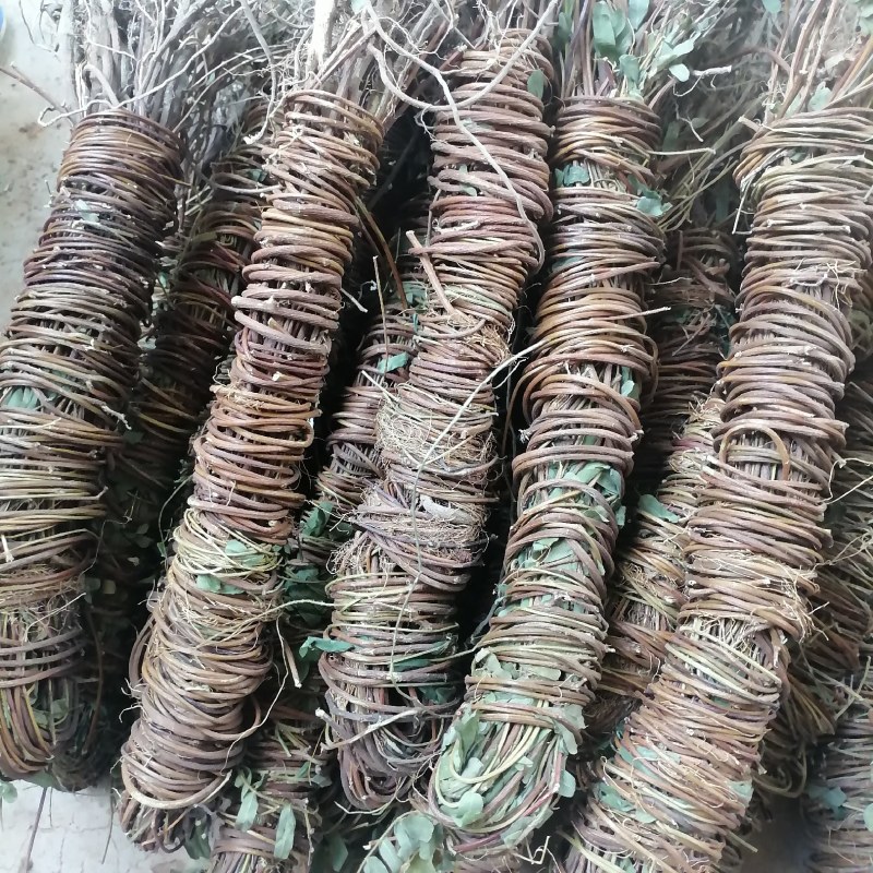 【产地直供】鸡骨草纯无硫鸡骨草现货批发可视频看货