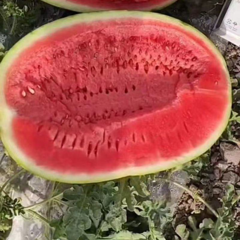宁夏硒砂瓜