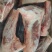 大羊前腱，羊小腿，去拐筋
