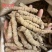 肇庆巴戟天。高品质