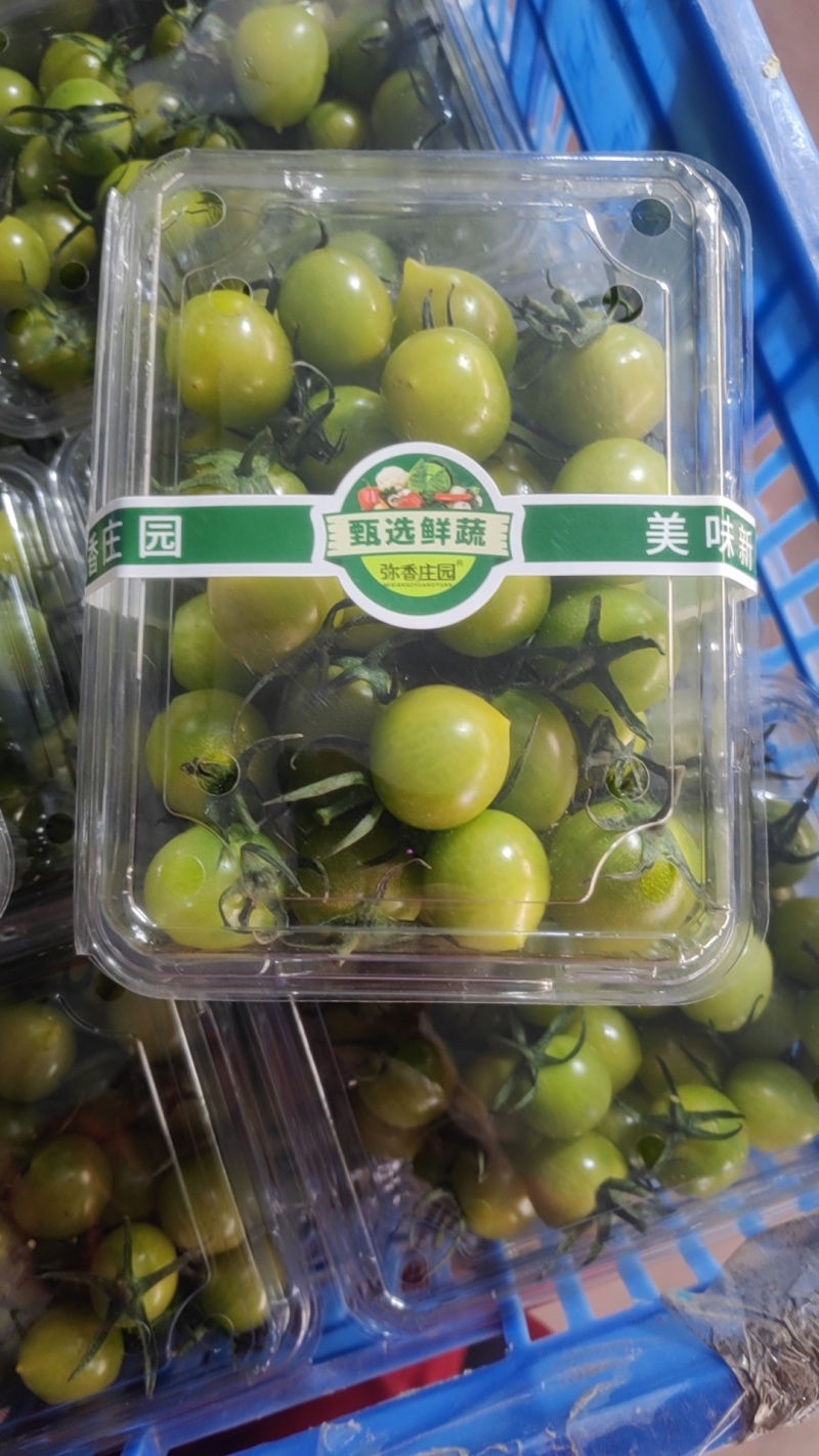 圣女果
