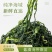 海带苗霞浦海带苗嫩苗新鲜火锅凉拌食材海带商用包批发少盐