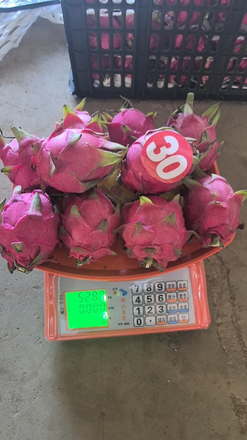 火龙果鲜货，香甜可口，红心火龙果，金都一号，湛江特产，代