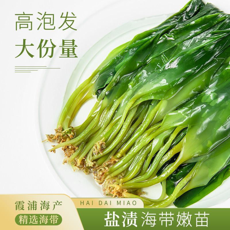 2025霞浦海带苗嫩牙嫩芽盐渍嫩苗新鲜火锅凉拌