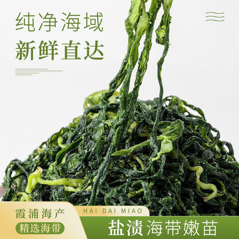 2025霞浦海带苗嫩牙嫩芽盐渍嫩苗新鲜火锅凉拌