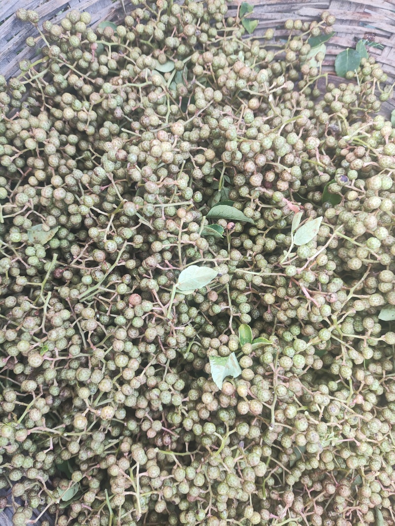 产地直销陕西省青花椒（鲜货）