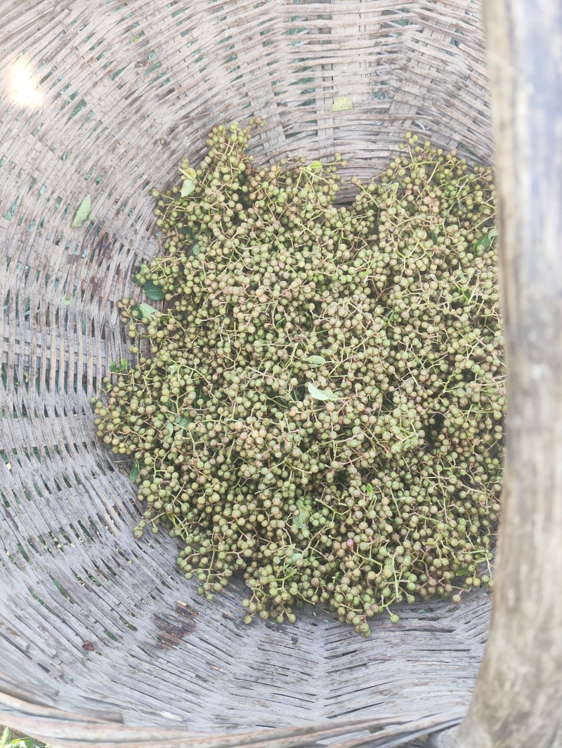 产地直销陕西省青花椒（鲜货）