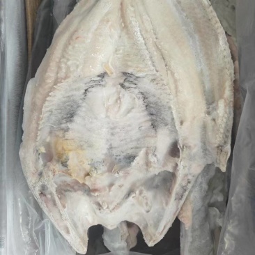 开背清江鱼，大小都有