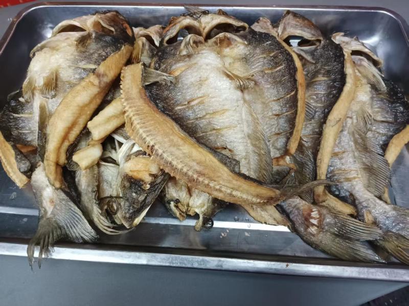 开背清江鱼，大小都有