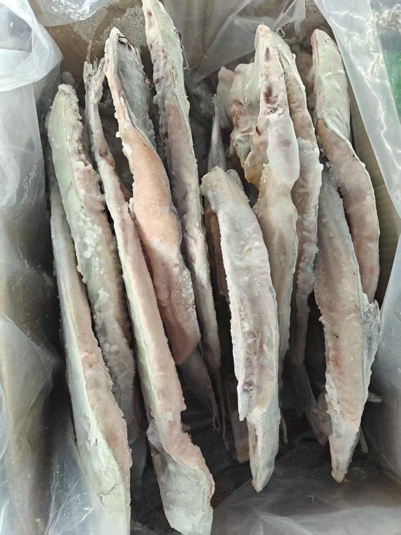 开背清江鱼，大小都有