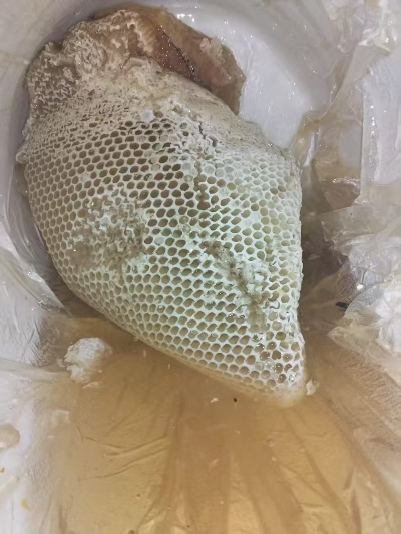 野生蜂蜜大量有货。欢迎来询价