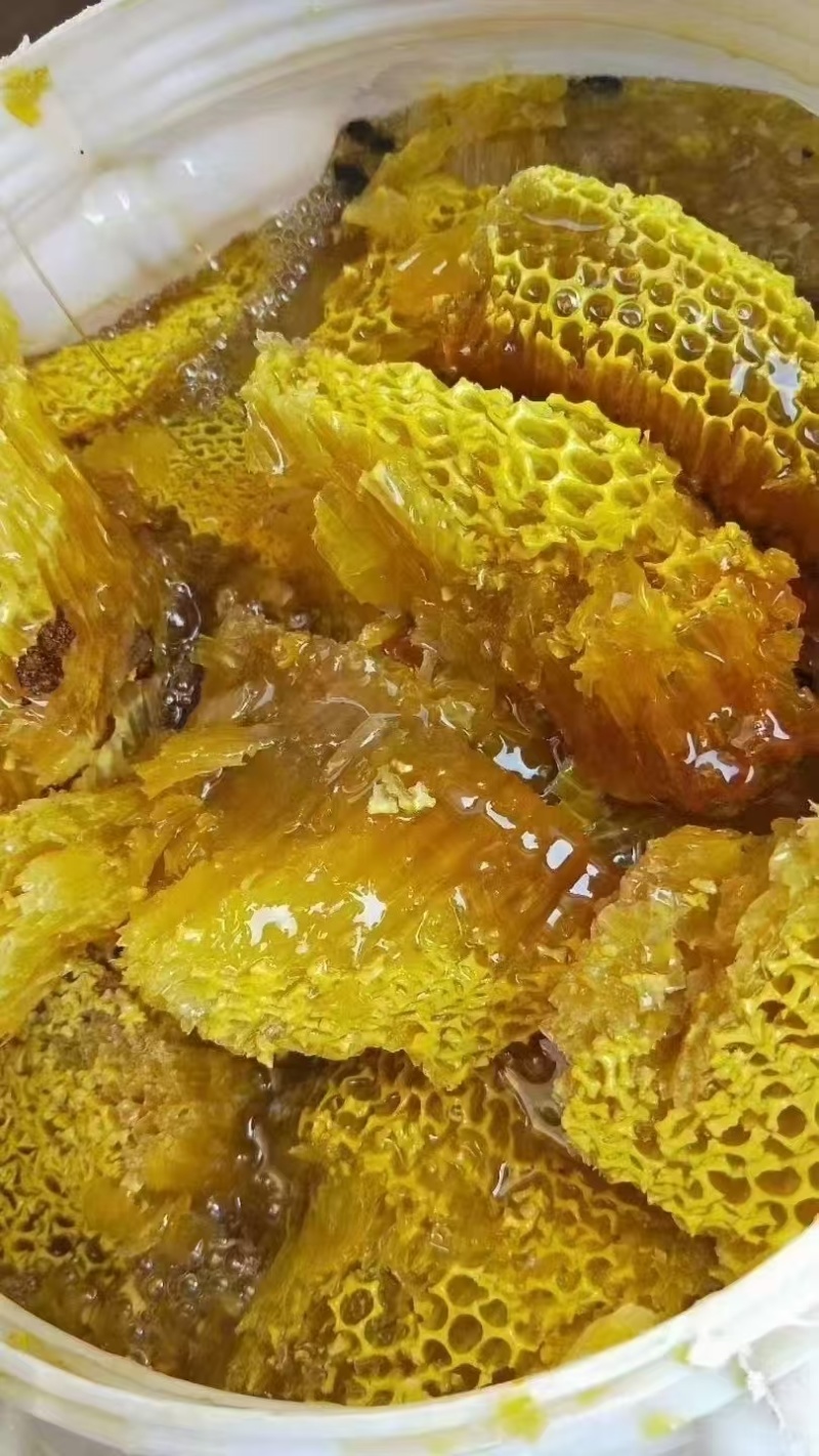 野生蜂蜜大量有货。欢迎来询价