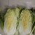 【白菜种子】黄心大白菜种子绿叶黄芯耐抽薹