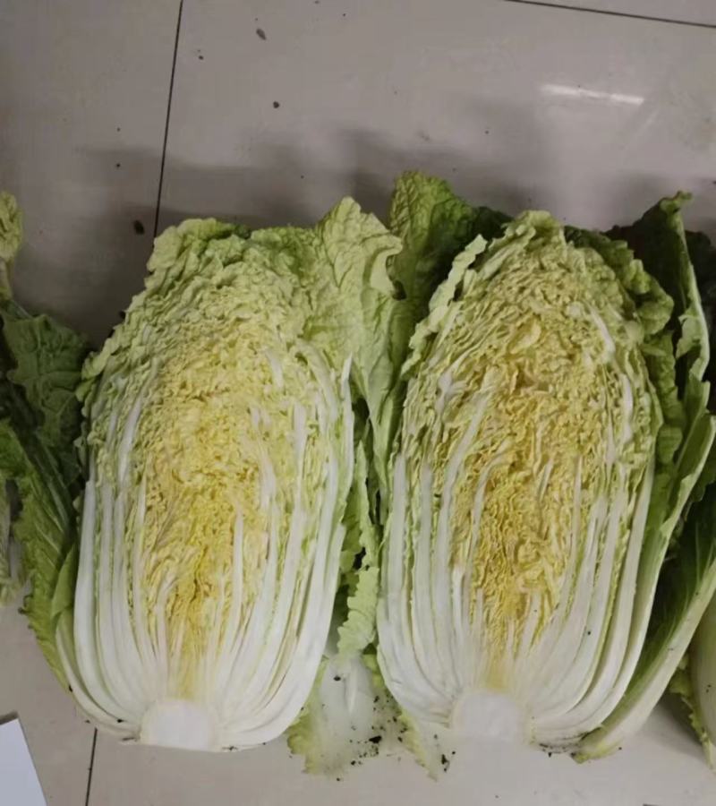 【白菜种子】黄心大白菜种子绿叶黄芯耐抽薹