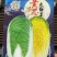 【白菜种子】黄心大白菜种子绿叶黄芯耐抽薹
