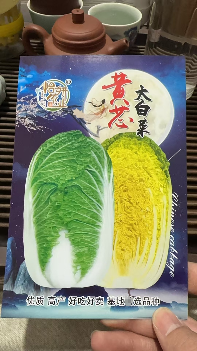 【白菜种子】黄心大白菜种子绿叶黄芯耐抽薹