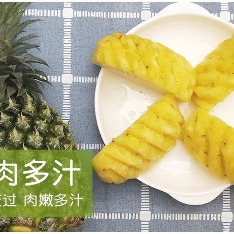 广东凤梨，香水凤梨，即将上市，欢迎预订