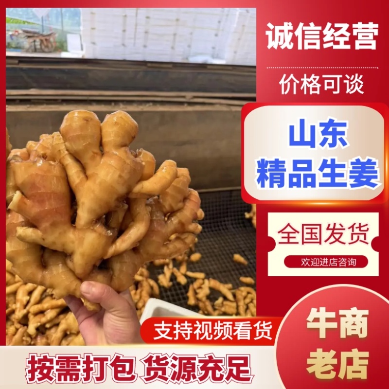 山东精选优质生姜大姜大黄姜产地一手货源质量保证