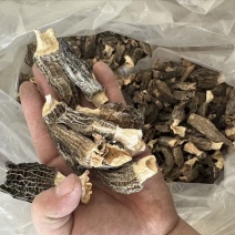 特价羊肚菌薄皮3-6