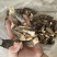 特价羊肚菌薄皮3-6