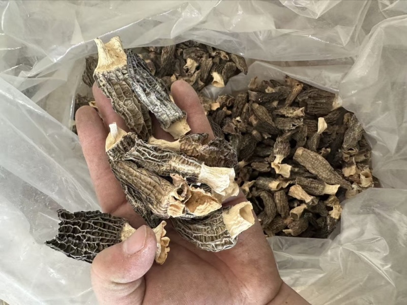 特价羊肚菌薄皮3-6