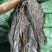 精品海带颜色绿，泡发率高价格便宜，品质保证