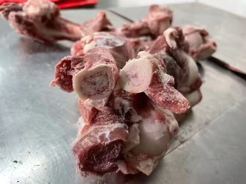 羔羊前腿骨，羊棒骨，肱骨
