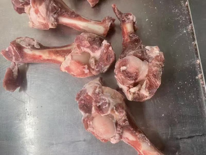 羔羊前腿骨，羊棒骨，肱骨