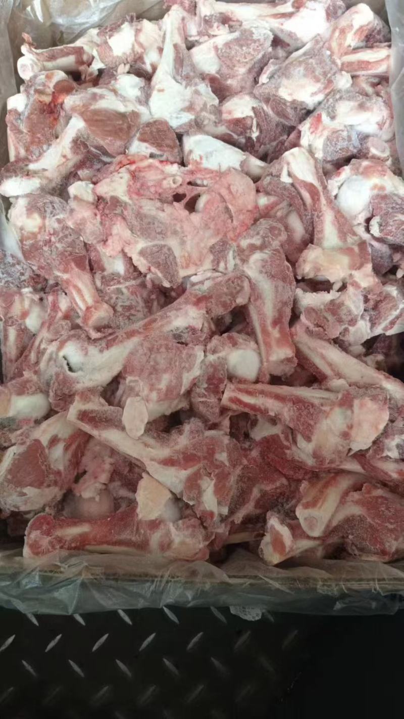 羔羊前腿骨，羊棒骨，肱骨