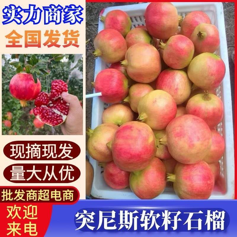 突尼斯软籽石榴/四川会理/产地直发/量大从优/一条龙服务