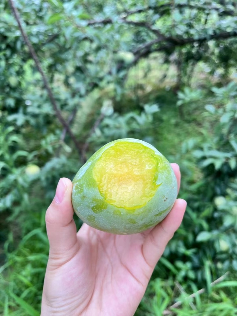 联系电话***********