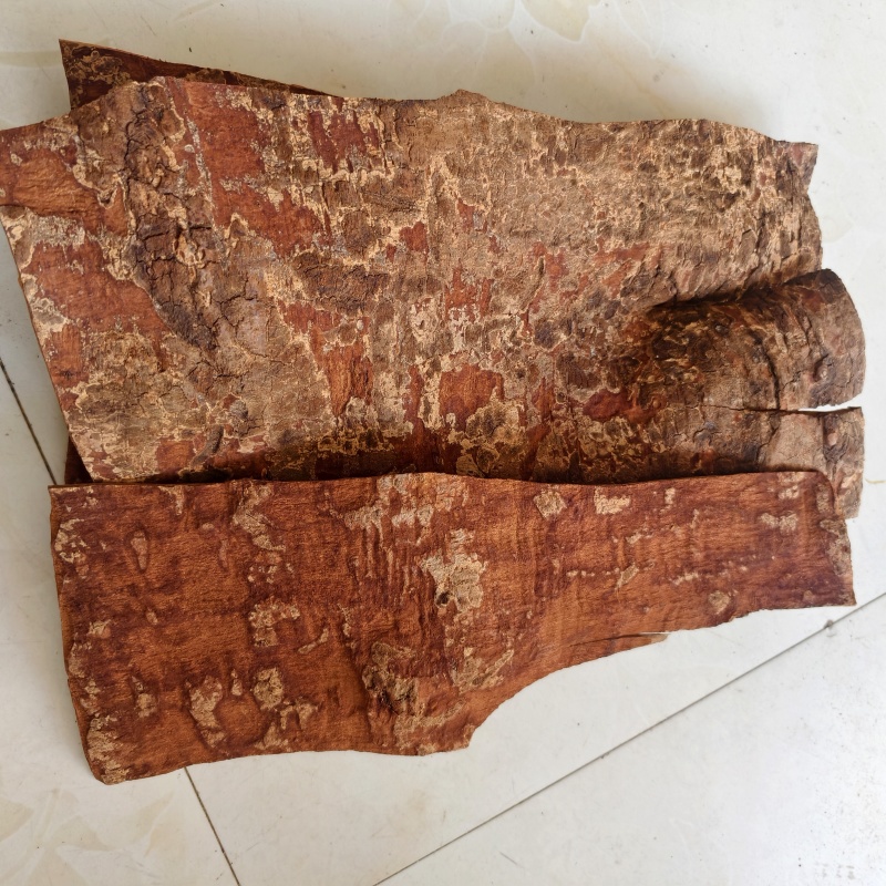 肉桂紫油桂去皮大选紫油桂油性大产地广西壮族