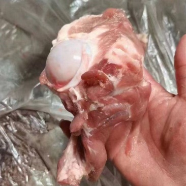 前腿骨带肉多，价格低
