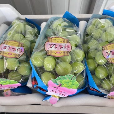 阳光玫瑰16+糖【保糖】对接山姆,盒马高端品