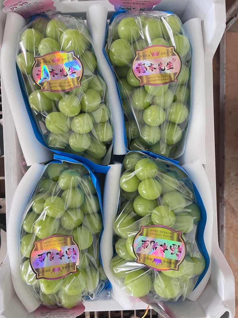 阳光玫瑰16+糖【保糖】对接山姆，盒马高端品