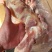 肥猪前腿骨带肉30%规格：10kg