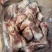 肥猪前腿骨带肉30%规格：10kg