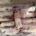 次一级带筋前蹄规格：10kg22个左右猪