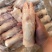 次一级带筋前蹄规格：10kg22个左右猪