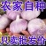 紫皮蒜种产地一手货源支持全国物流发货大蒜种子