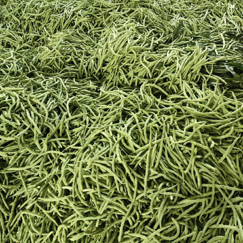 豆王豆角。平常炒菜饭店的豆角商超或者是批发市场都可以联系