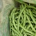 豆王豆角。平常炒菜饭店的豆角商超或者是批发市场都可以联系