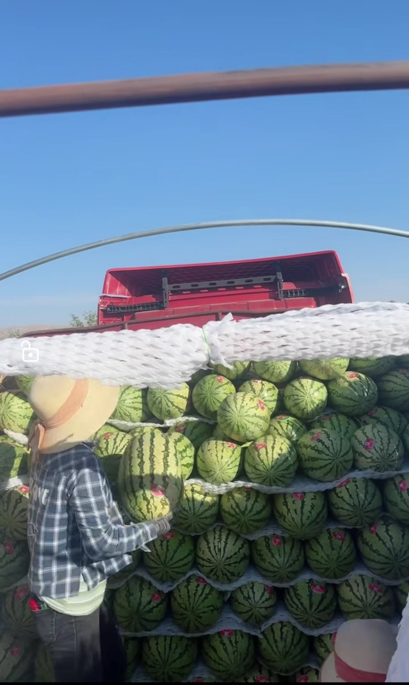 西瓜宁夏硒砂瓜石头瓜金城五号金花六号质量保证