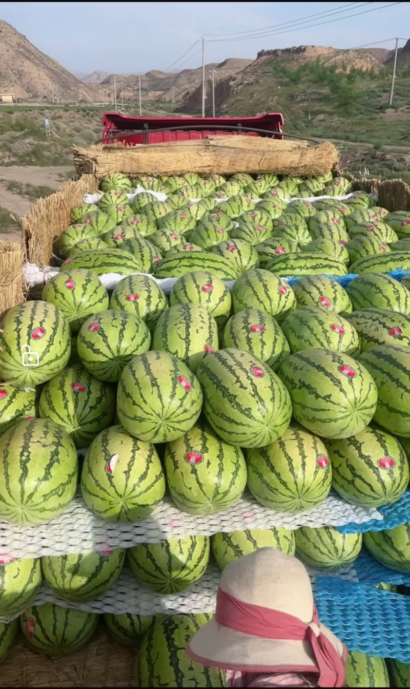 西瓜宁夏硒砂瓜石头瓜金城五号金花六号质量保证
