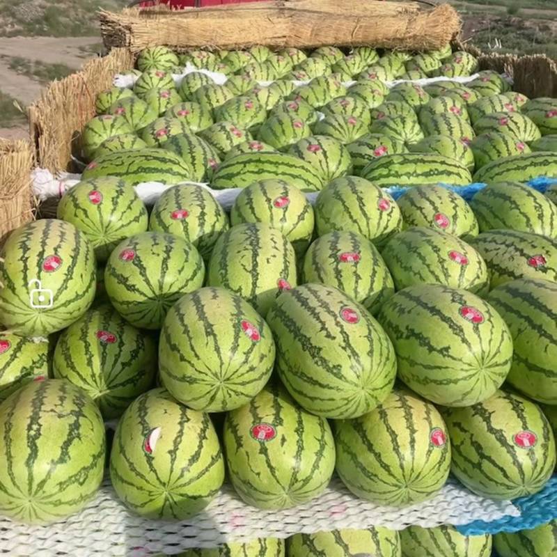 西瓜宁夏西瓜硒砂瓜金花六号石头瓜售后全包