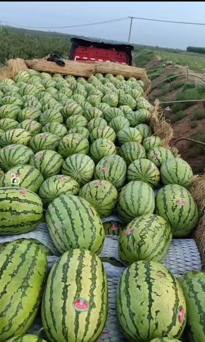 西瓜宁夏西瓜硒砂瓜金花六号石头瓜售后全包