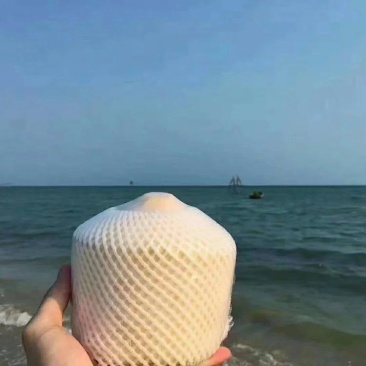 芒果