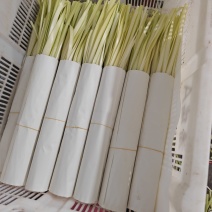 大量供应发货，品质质量保证。量大从优
